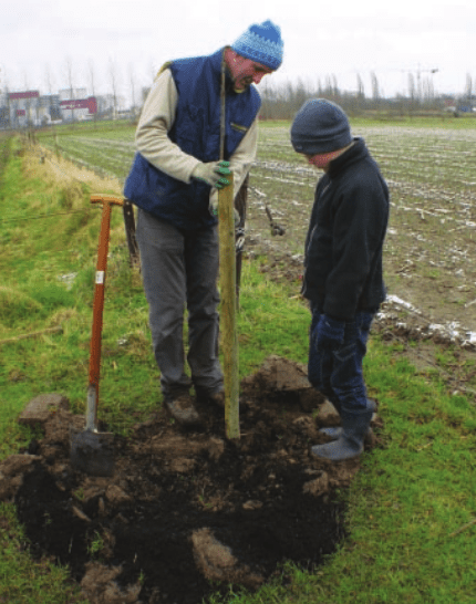 Peter Beernaert plant agroforestry boom aan in Aartselaar