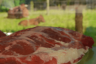 West-Vlaams rood rund, echt vlees van bij ons voor op Zondag - verkrijgbaar bij Boeregoed.be